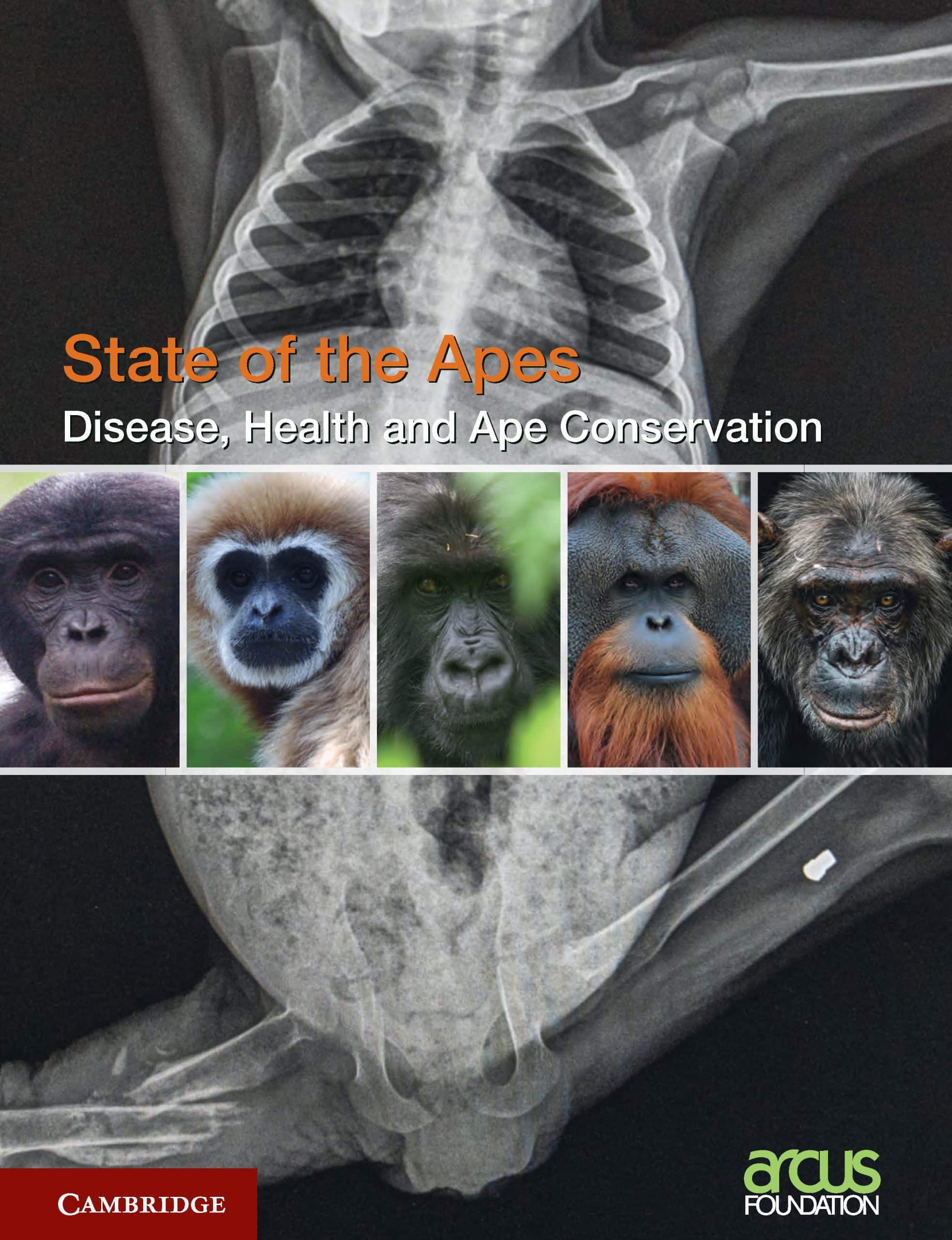 the cover of the fifth volume of State of the Apes